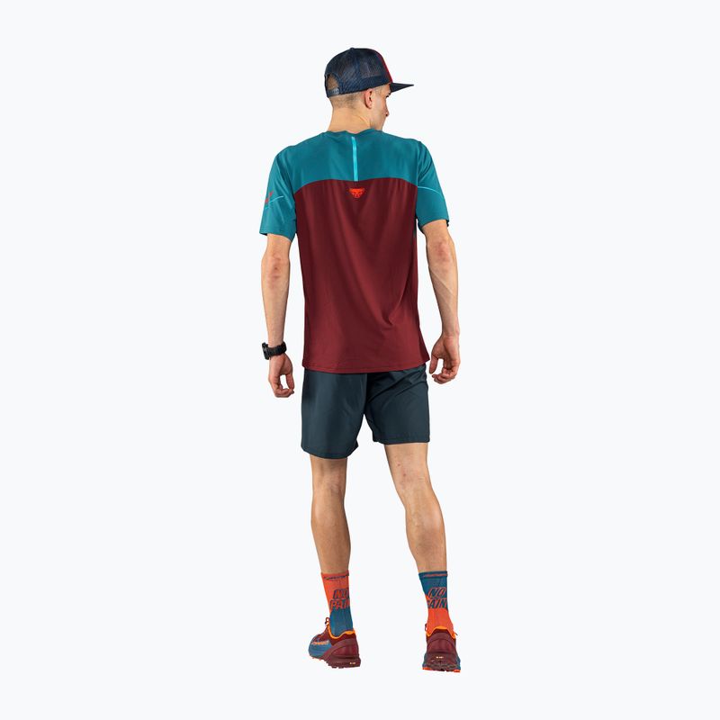 Férfi DYNAFIT Alpine Pro futópóló bordó 08-0000070964 2