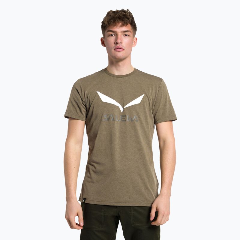 Férfi Salewa Solidlogo Dry khaki trekking póló 00-0000027018