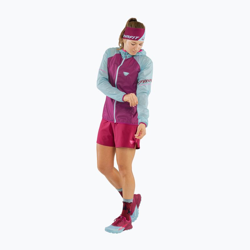 Női DYNAFIT Alpine Wind 2 futódzseki lila-kék 08-0000071155