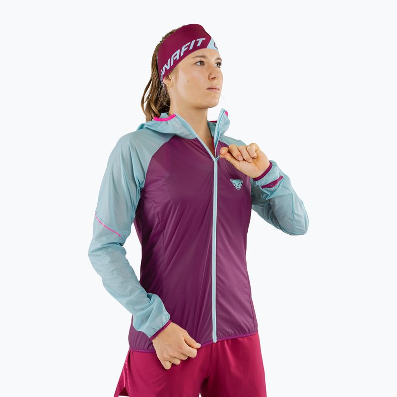 Női DYNAFIT Alpine Wind 2 futódzseki lila-kék 08-0000071155 3