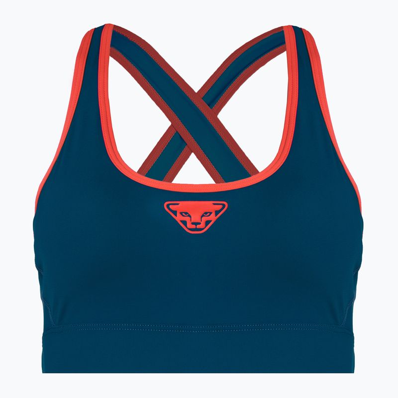 DYNAFIT Alpine futómelltartó tengerészkék 08-0000071478