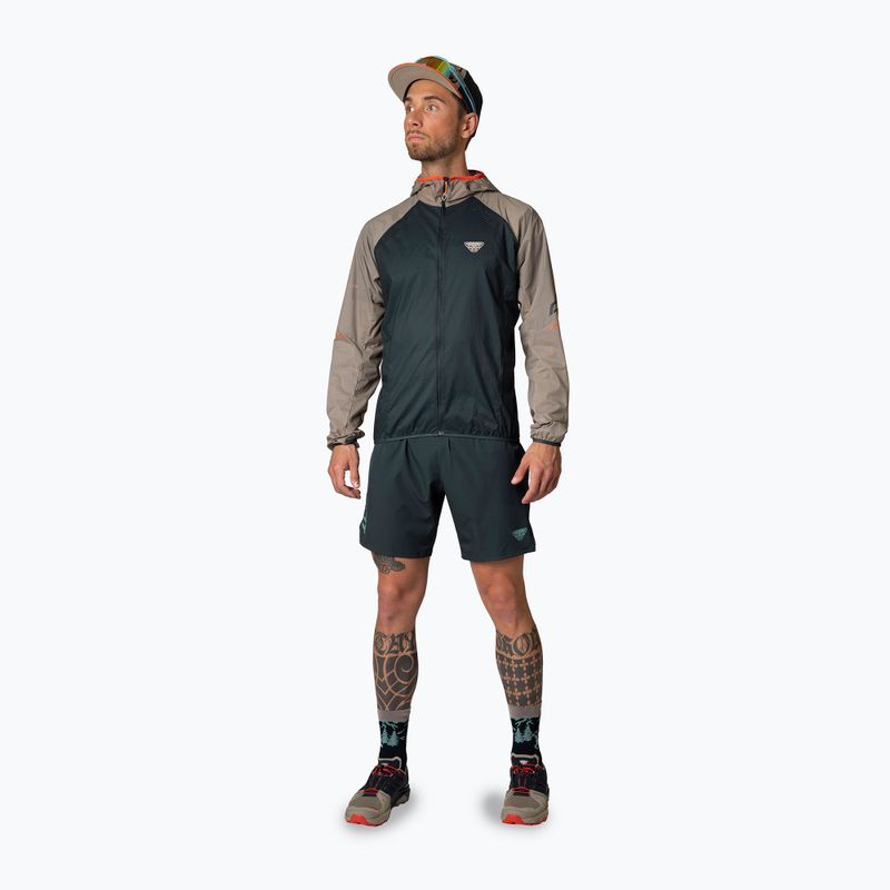 Férfi futónadrág DYNAFIT Alpine blueberry/storm blue 3