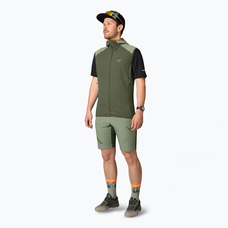 Férfi DYNAFIT Transalper Light Dynastretch sage trekking rövidnadrágok 2