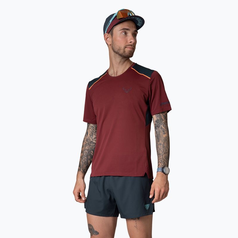 Férfi DYNAFIT Sky bordó futópóló 2