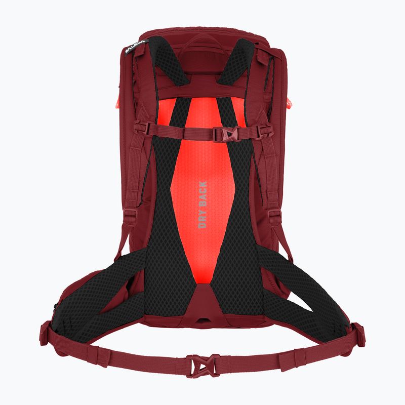 Salewa Alp Trainer 20 l syrah női túra hátizsák 2