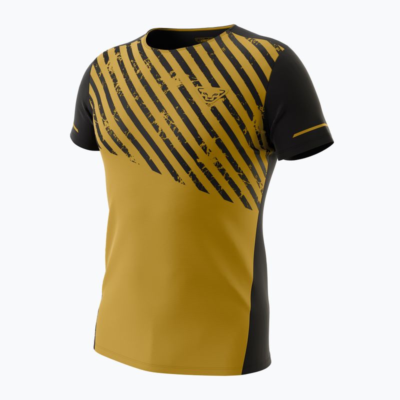 Férfi DYNAFIT Alpine 2 dohány futópóló 4