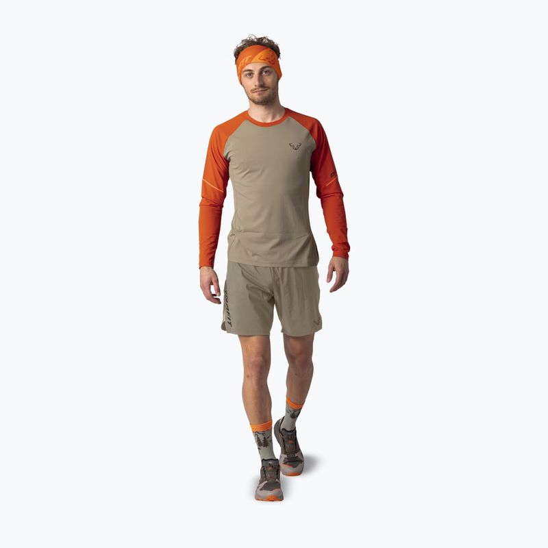 Férfi hosszú ujjú futópóló DYNAFIT Alpine Pro Alabama/5490i 2