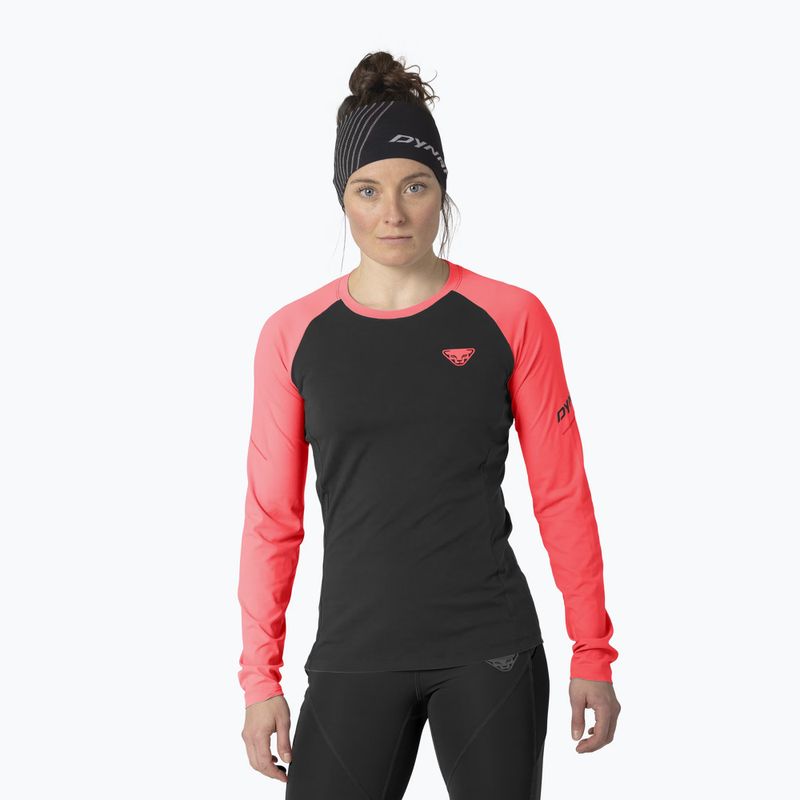 Női hosszú ujjú futópóló DYNAFIT Alpine Pro ultra coral/0936