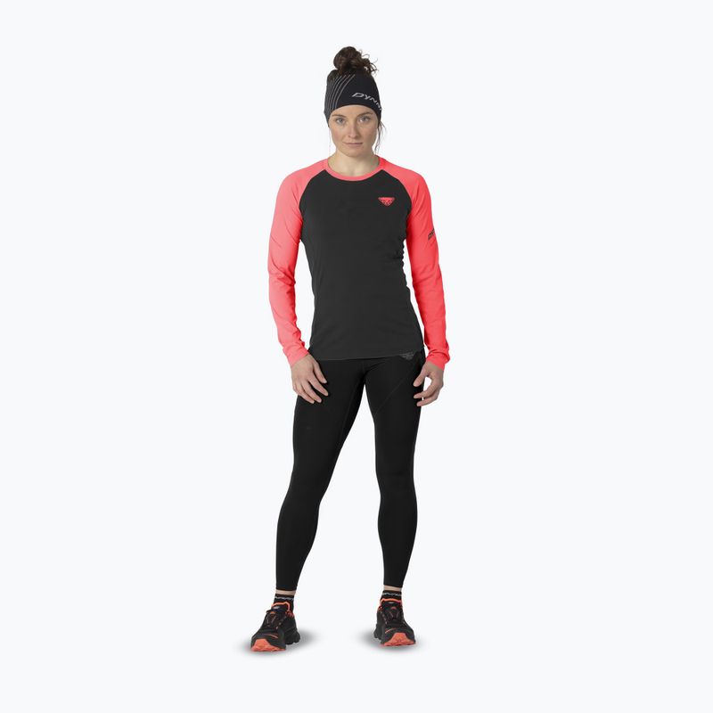 Női hosszú ujjú futópóló DYNAFIT Alpine Pro ultra coral/0936 2