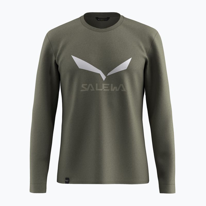 Férfi hosszú ujjú póló Salewa Solidlogo Dry faded green