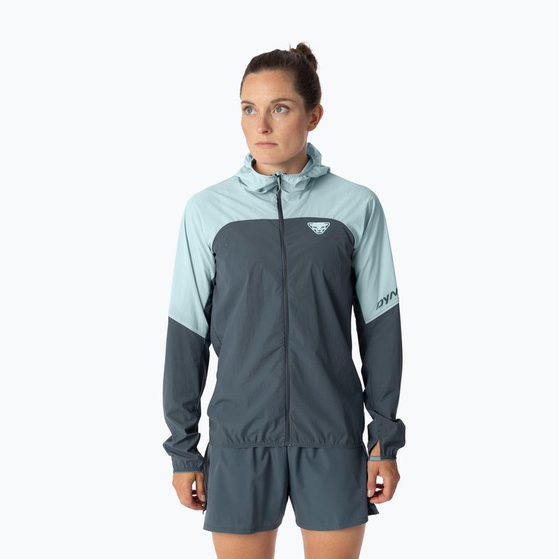 Női futókabát DYNAFIT Alpine Wind cloud blue/0720