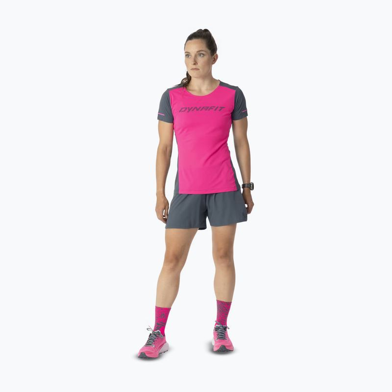 Női futópóló DYNAFIT Alpine 2 Tee pink glo 2