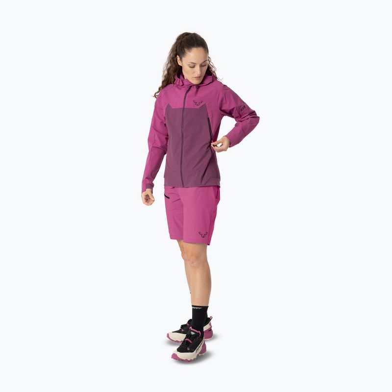 Női softshell dzseki DYNAFIT Transalper Dynastretch magenta/6a70 2