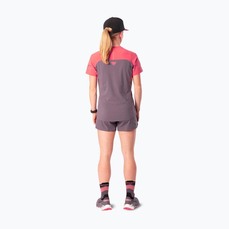 Női futó póló Dynafit Alpine Pro SS Tee cabana/6A90 2