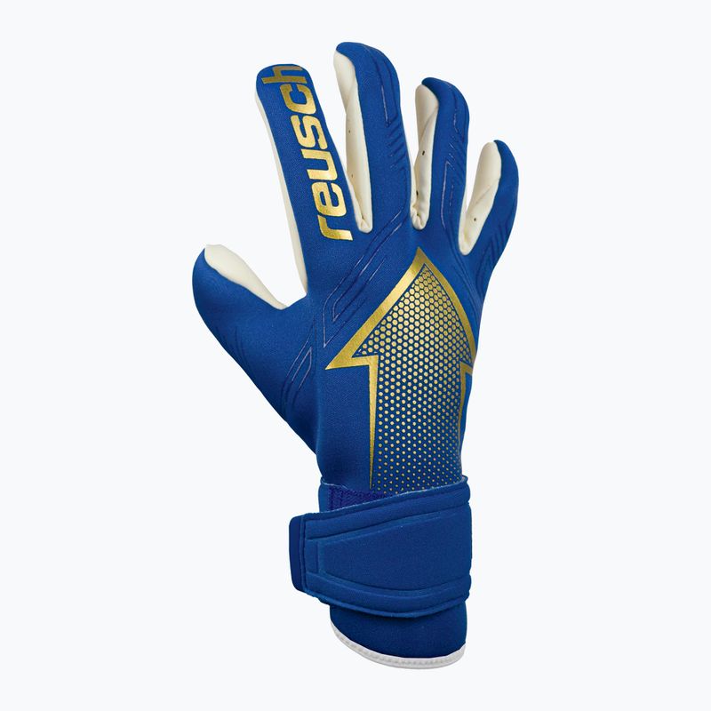 Reusch Arrow Gold X kék kapuskesztyű 5270908 6