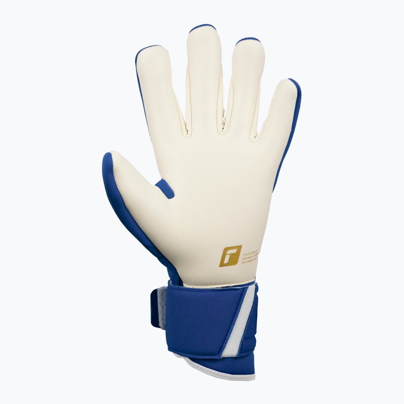 Reusch Arrow Gold X kék kapuskesztyű 5270908 8