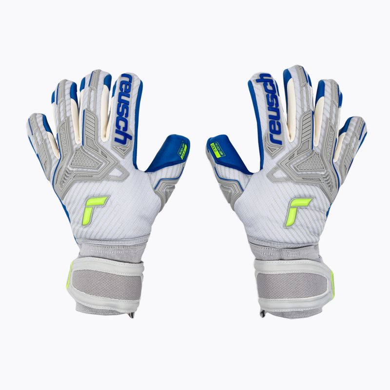 Reusch Attrakt Freegel Gold Finger Support kapus kesztyű szürke 5270130-6006