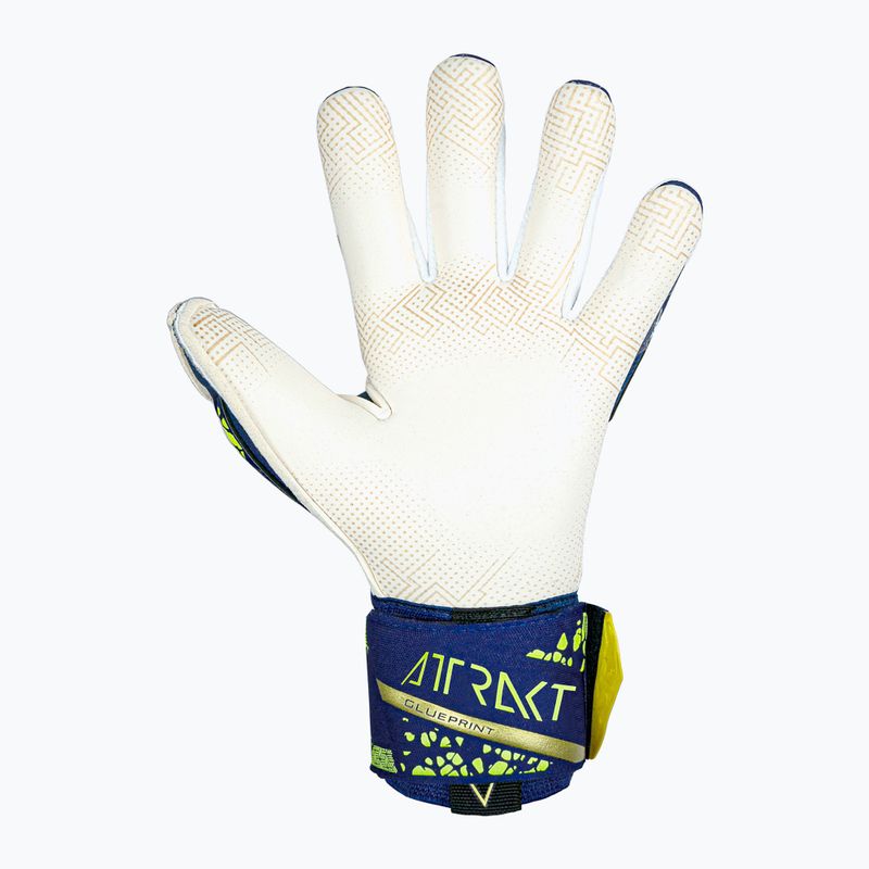 Kapuskesztyű Reusch Attrakt Gold X GluePrint premium blue/gold 3