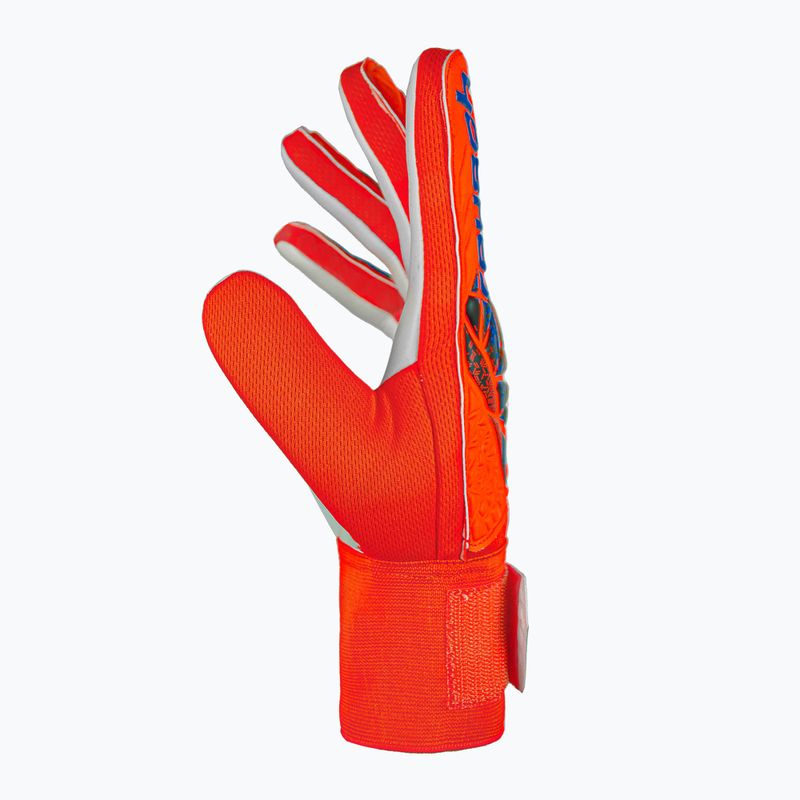 Kapuskesztyű Reusch Attrakt Starter Solid bright red/future blue 4