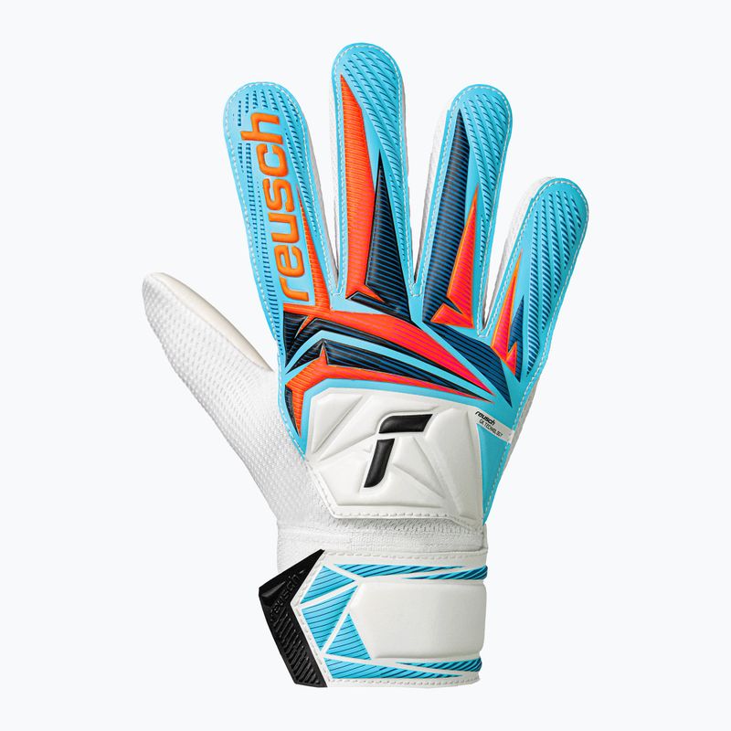 Gyerek kapuskesztyűk Reusch Attrakt Starter Solid Junior white/light blue 2