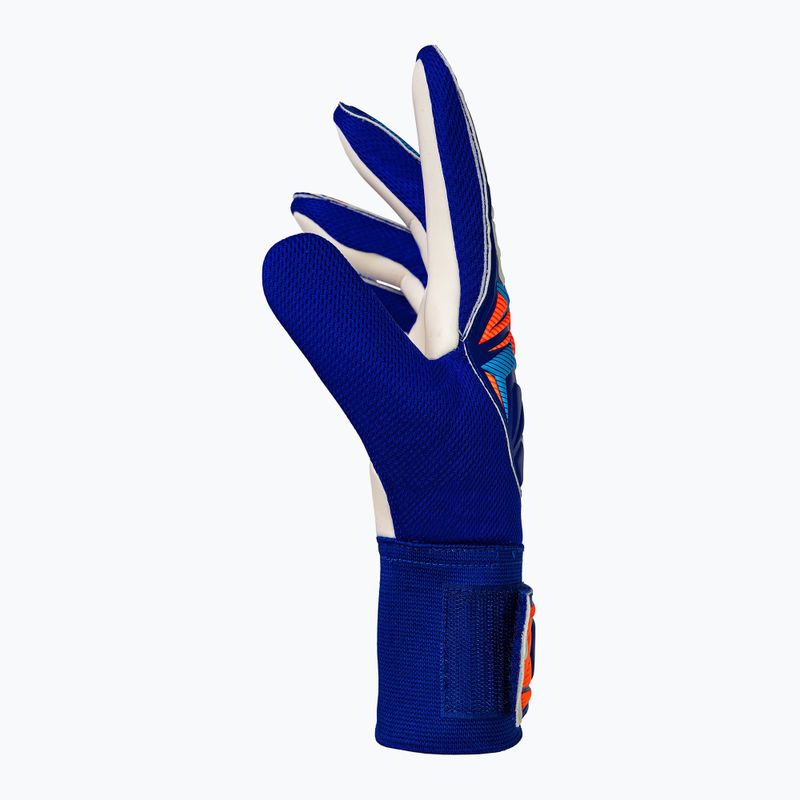 Kapus kesztyűk Reusch Attrakt Starter Solid sharp blue/white/shocking orange 4