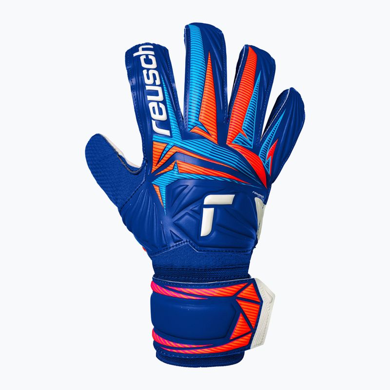 Kapus kesztyűk Reusch Attrakt Solid sharp blue/white/shocking orange 2
