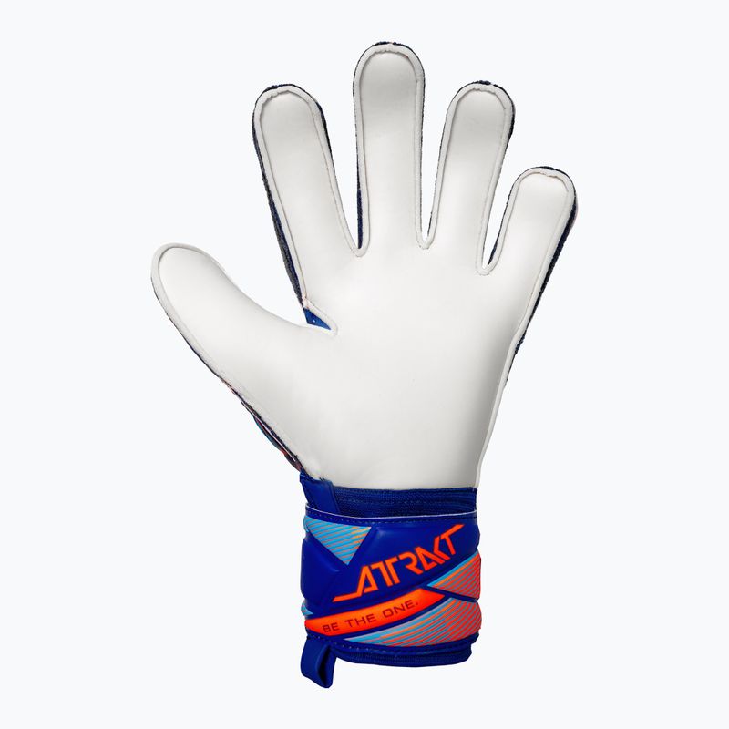 Kapus kesztyűk Reusch Attrakt Solid sharp blue/shocking orange 3