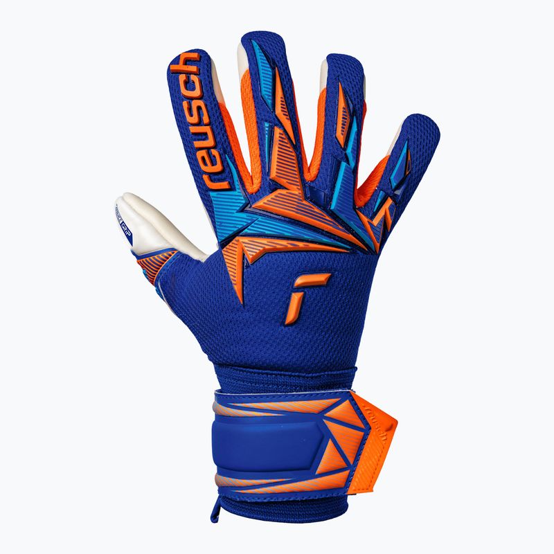 Gyerek kapus kesztyűk Reusch Attrakt Freegel Advance Junior sharp blue/shocking orange 2