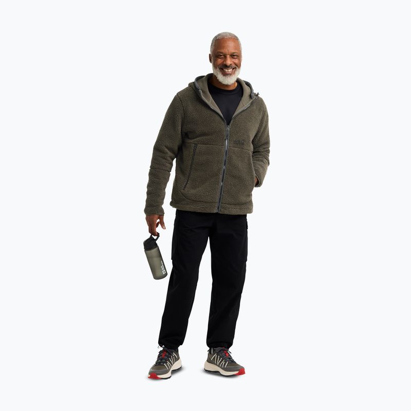 Férfi túracipő Jack Wolfskin Wild Hike Texapore Low obsidian moss 5