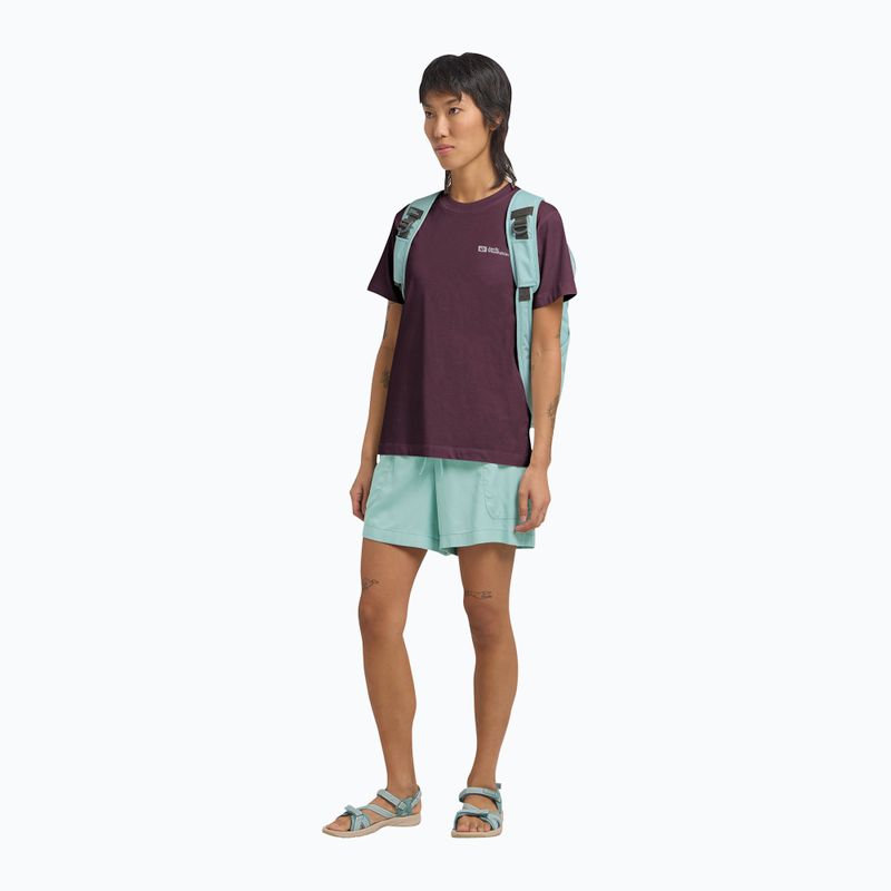 Női póló Jack Wolfskin Essential amaranth 2