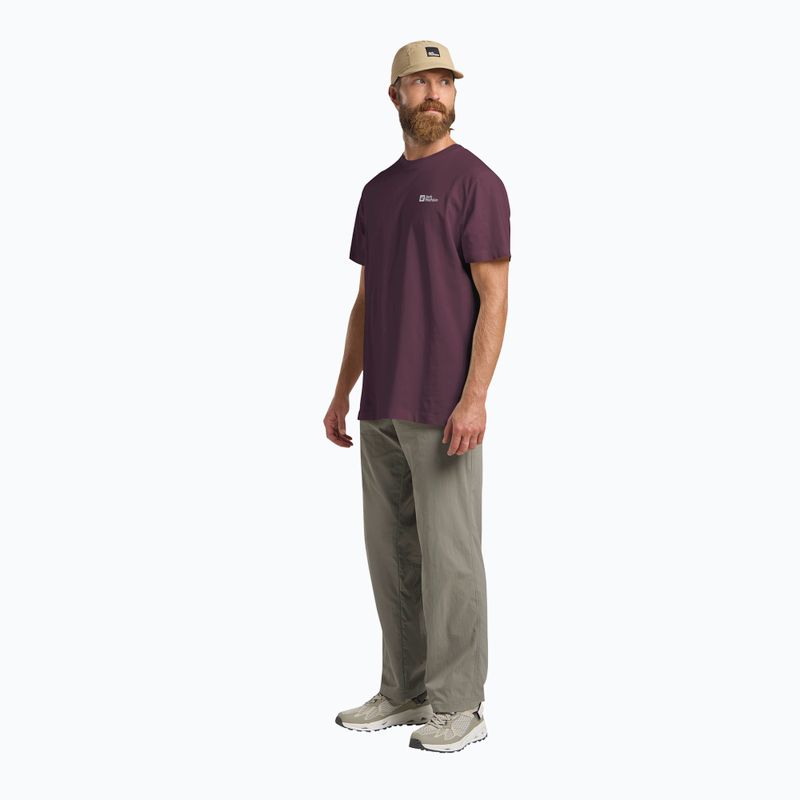 Férfi póló Jack Wolfskin Essential amaranth 2