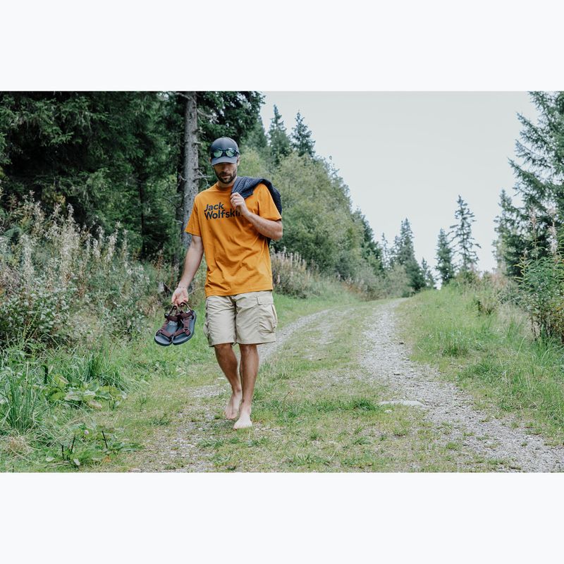 Férfi szandálok Jack Wolfskin Taiga dark mahogany 7