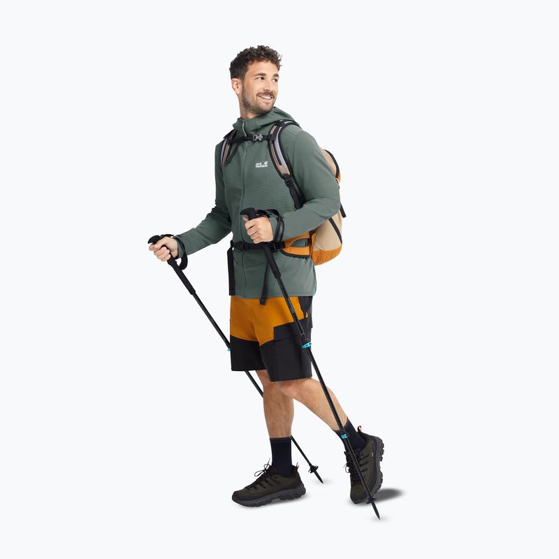 Férfi túracipők Jack Wolfskin Apex Hike Texapore Low obsidian moss 7