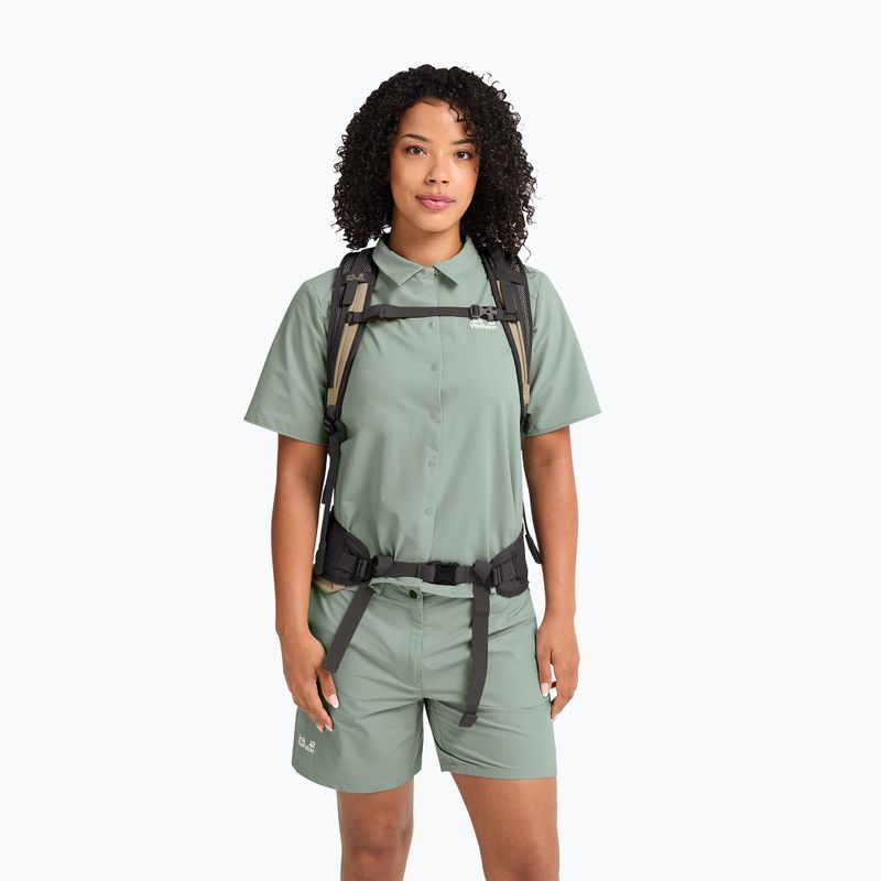 Túrahátizsák Jack Wolfskin Astro Vent 24 l hazel wood 16