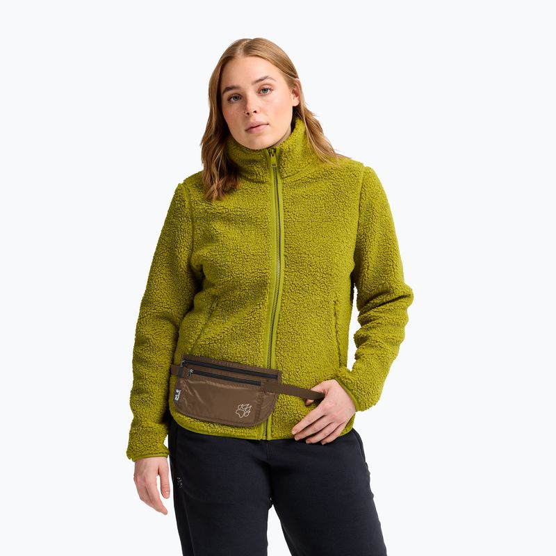 Övtáska Jack Wolfskin Document Belt De Luxe fawn 7