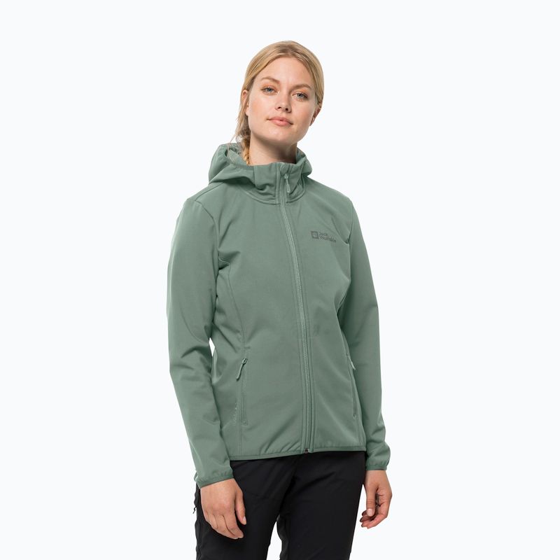 Női softshell dzseki Jack Wolfskin Bornberg Hoody zöld 1307691