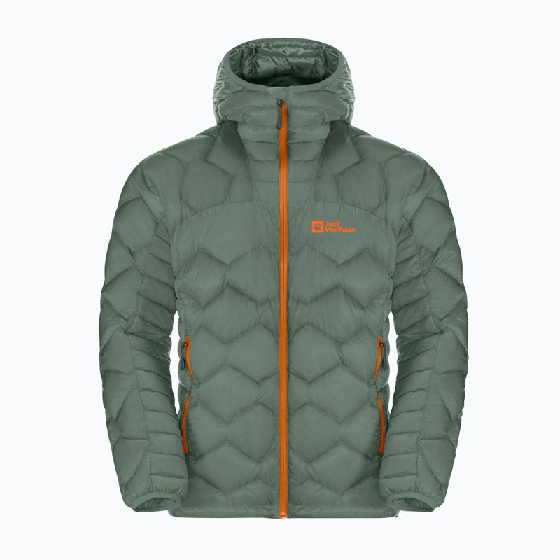 Jack Wolfskin Alpspitze Down Hoody hedge zöld férfi sí kabát 7