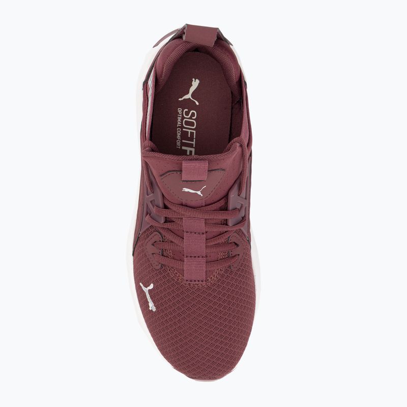Női futócipő PUMA Softride Enzo Nxt bordó 195235 17 6