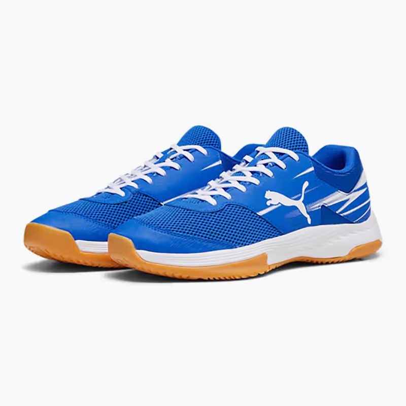 Férfi beltéri sportcipő PUMA Varion II puma team royal/puma white/gumumum 8