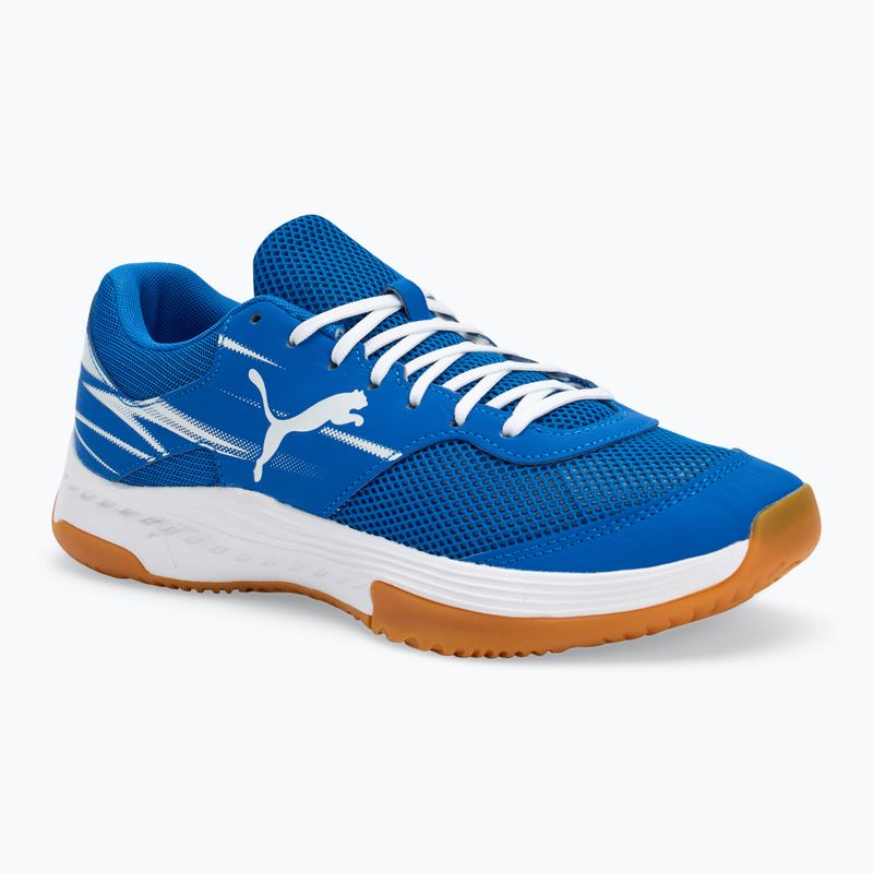 Férfi beltéri sportcipő PUMA Varion II puma team royal/puma white/gumumum