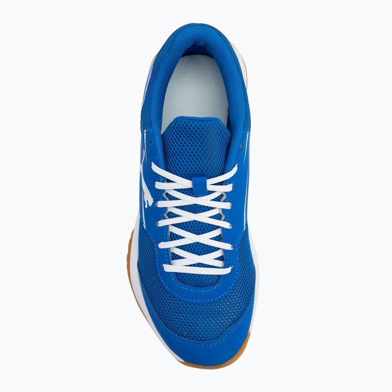 Férfi beltéri sportcipő PUMA Varion II puma team royal/puma white/gumumum 5