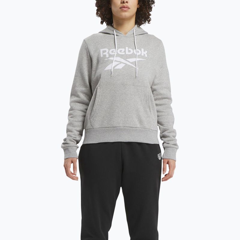 Női Reebok Identity Big Logo Fleece pulóver közepes szürke szürke sörény