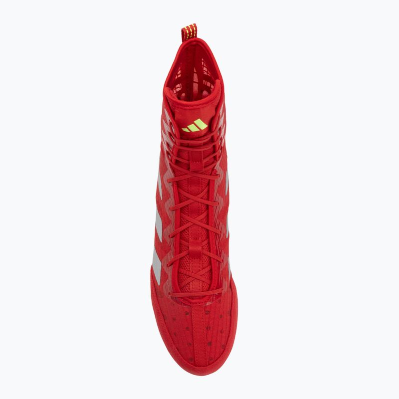 Bokszcipők adidas Box Hog 4 red 5