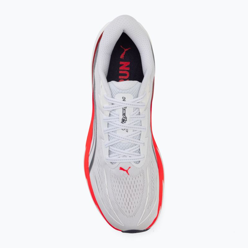 Férfi futócipők Puma Velocity Nitro 5 puma white/ultra red 5