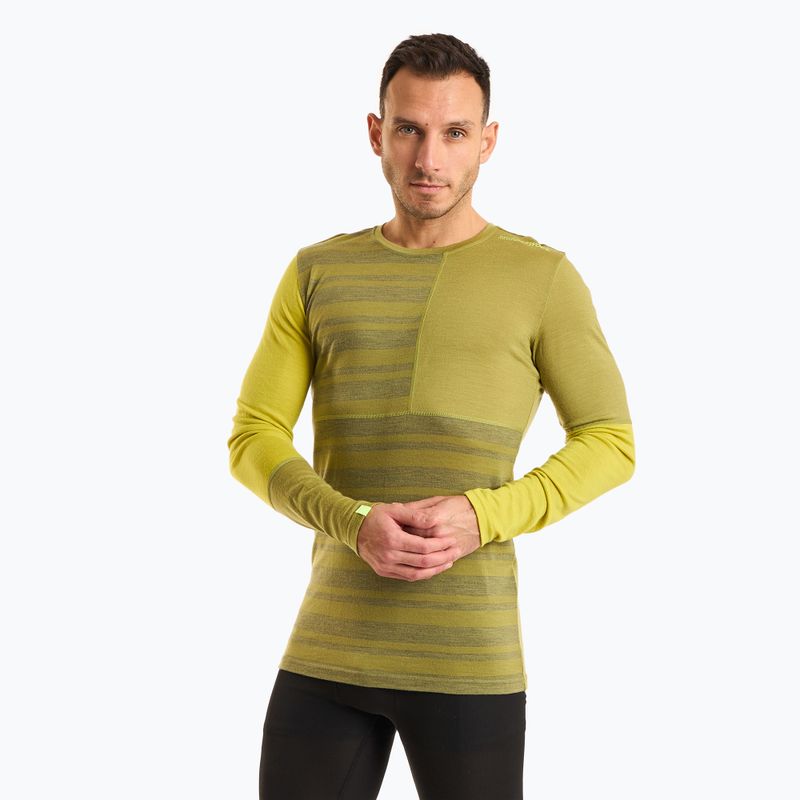 Férfi termoaktív pulóver ORTOVOX 185 Rock'N'Wool sweet alison