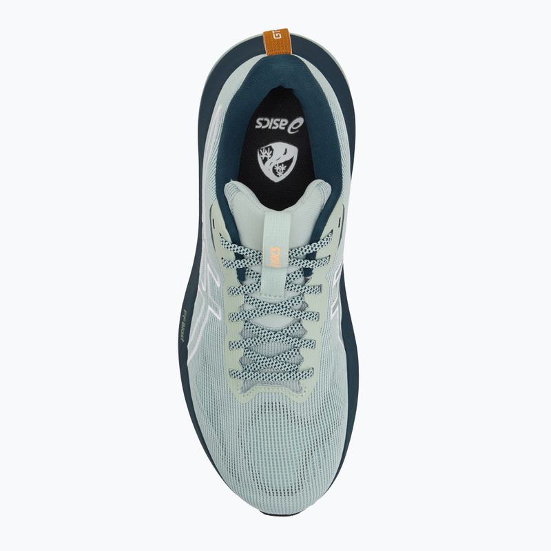 ASICS GT-1000 14 TR férfi futócipő természetfürdő/lichen rock 5