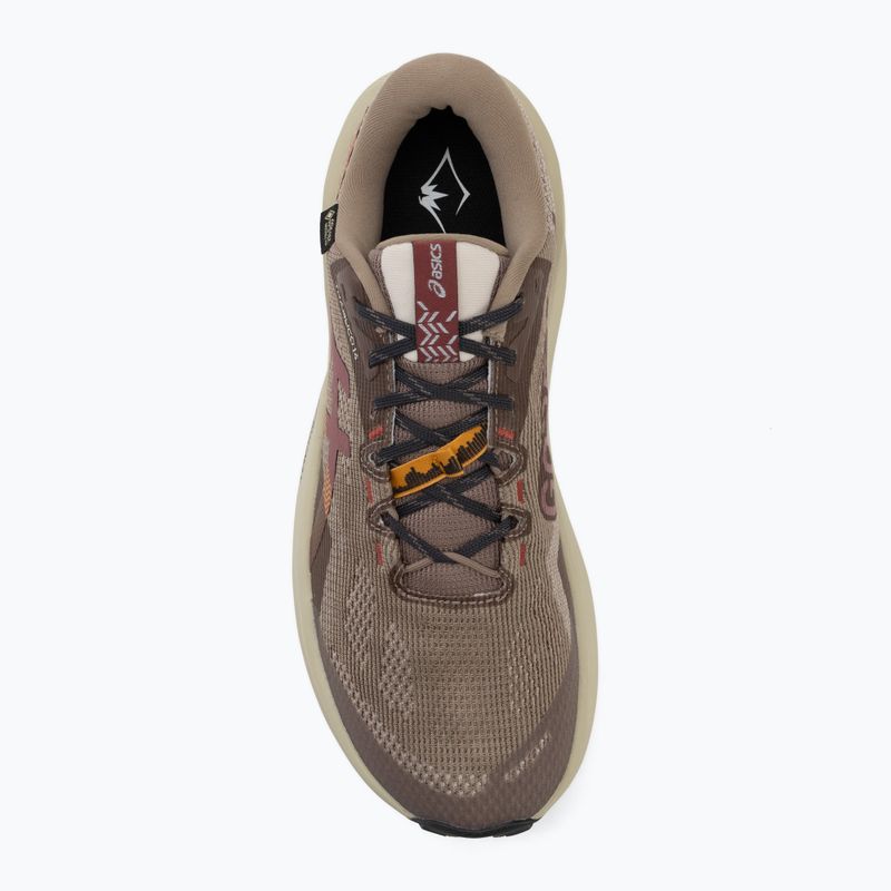 Férfi futócipők Asics Trabuco 14 Gtx taupe grey/oatmeal 5