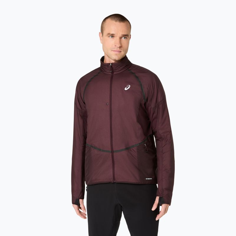 Férfi futókabát ASICS Road Winter Jacket dark currant