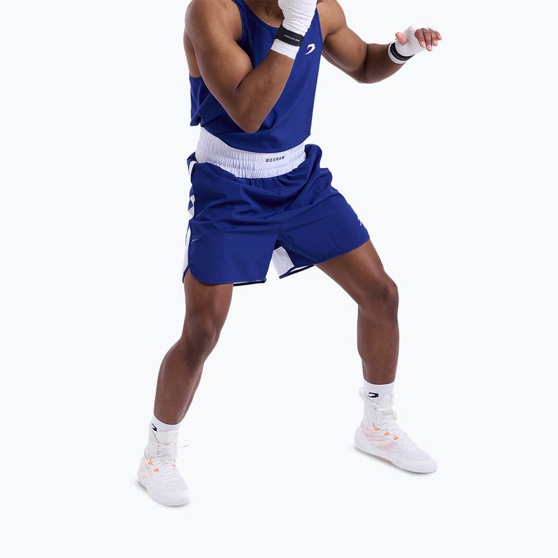 Férfi edző rövidnadrág Boxraw Stevenson V2 blue/white 5