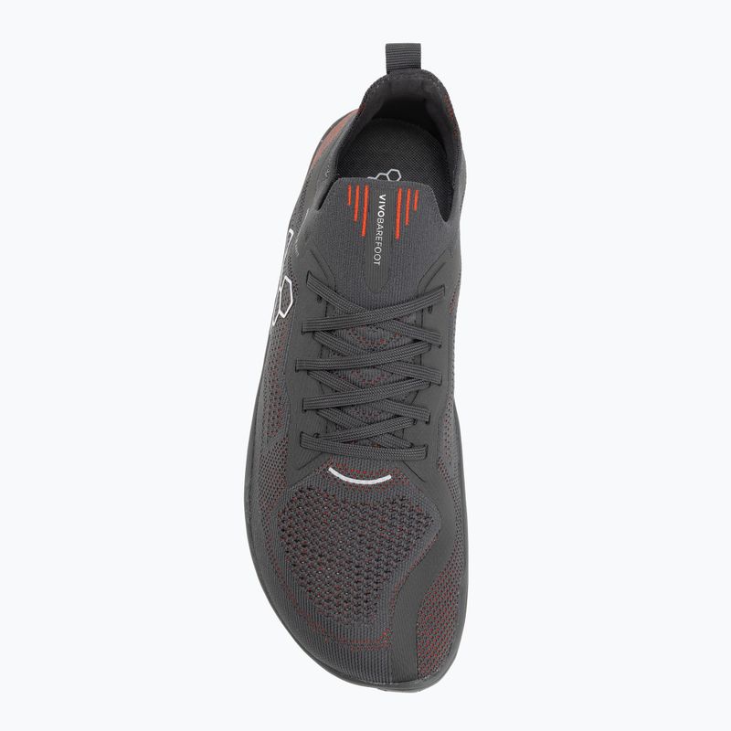Férfi barefoot cipő Vivobarefoot Primus Lite Knit obsidian/cherry tomato 5